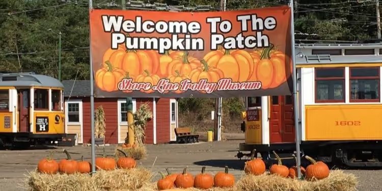 Pumpkins and a Welcome to the Pumpkin Patch sign beside vintage trolleys at the Shore Line Trolley Museum