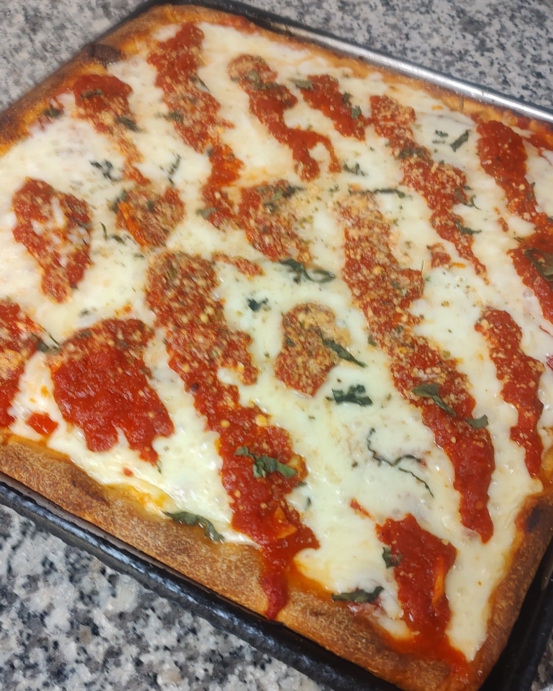A Sicilian pizza with tomato sauce and cheese from Aniello's in East Haven